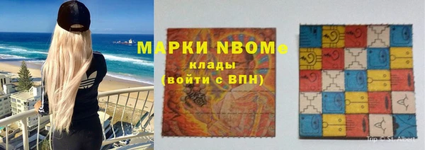 индика Абинск