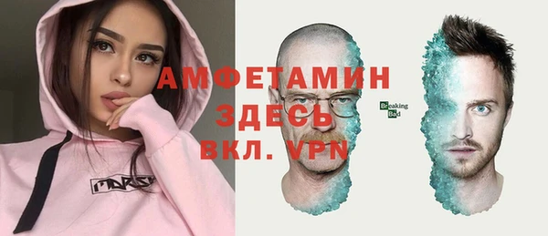 индика Абинск