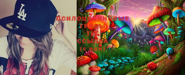 индика Абинск