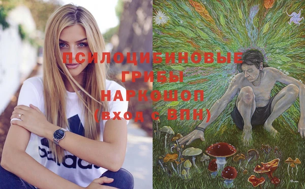 индика Абинск