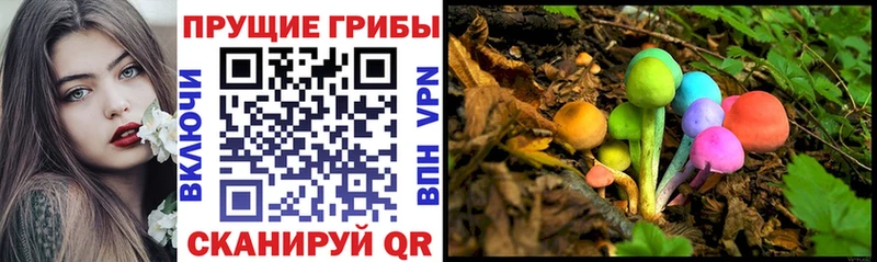 ОМГ ОМГ ссылки  это какой сайт  Галлюциногенные грибы Psilocybine cubensis  Норильск 